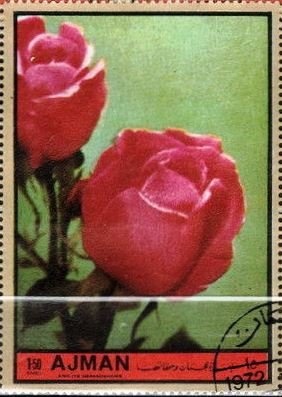 Self-Portrait in a Fur-Collared Robe, Albrecht Dürer (1500)