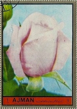 Crucifix by the Master of St Francis