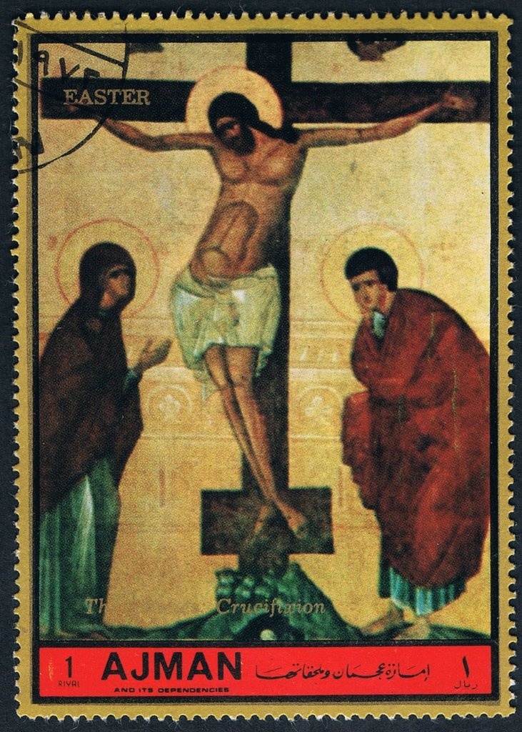 Japanese Macaque (Macaca fuscata)