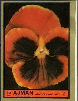 Last Supper, Giotto di Bondone