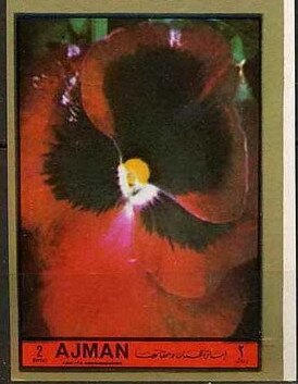 Cadet de West Point - USA 1825