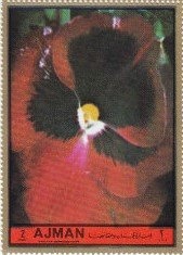 Empress Josephine at La Malmaison, François Gérard (1801)