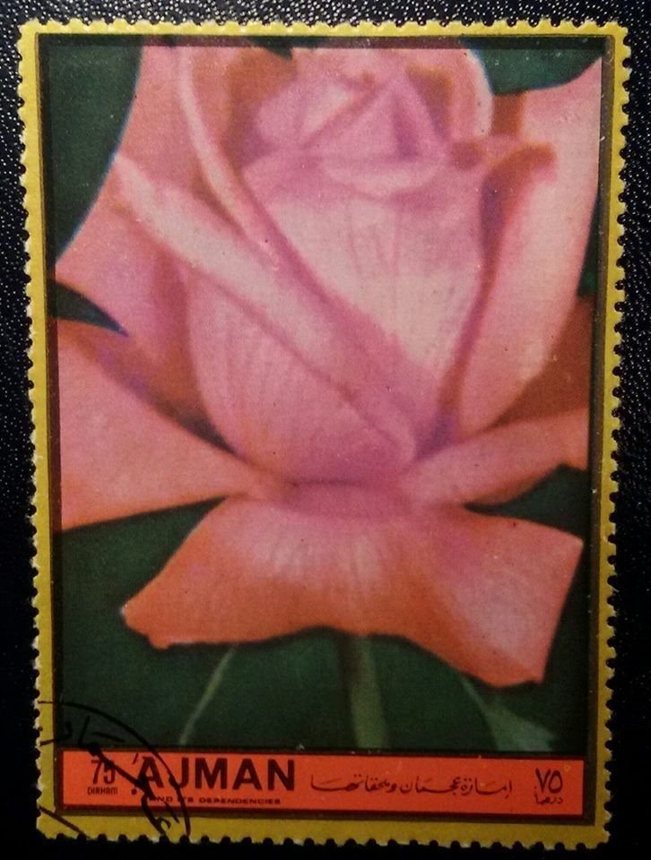 La Bella, by Titian (1536)