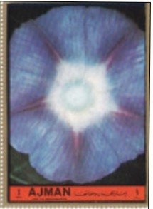 Shell divers, Kitagawa Utamaro