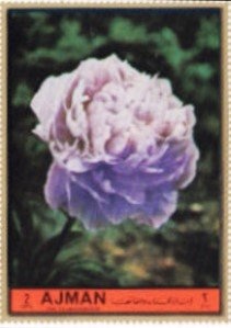 Victory of truth under the protection of justice by H Aachen