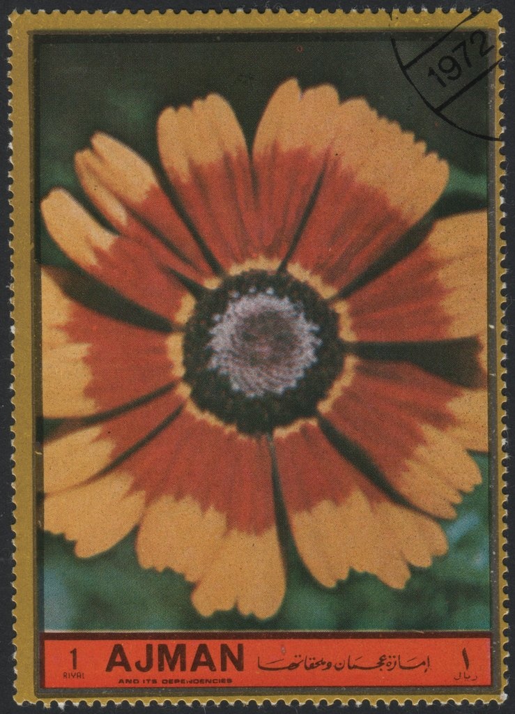 Paradise, Jan Brueghel the Younger (c. 1650)