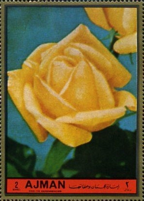 European Bison (Bos bonasus)