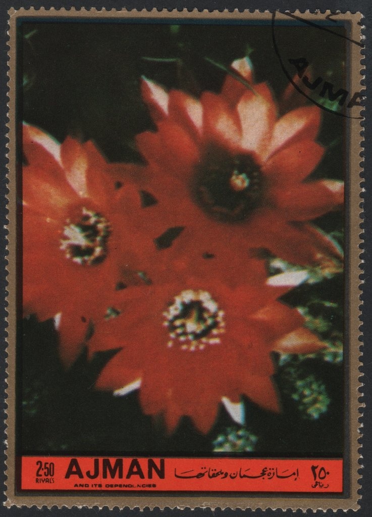 Mosaic from the Mausoleum of Galla Placidia, Ravenna