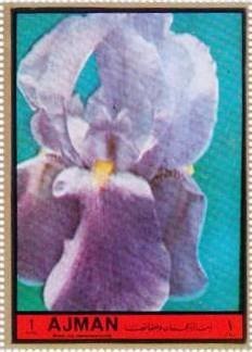 Napoleon Dictates His Memoirs, Nicolas Maurin