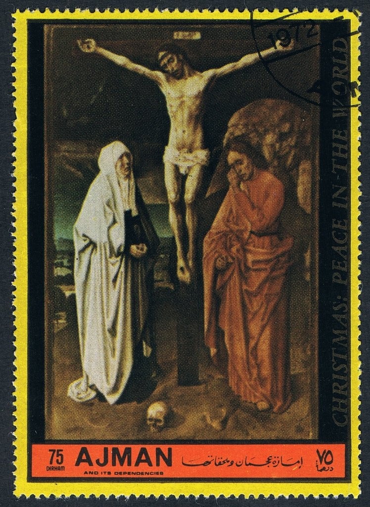 Raccoon (Procyon lotor)