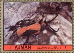 Ludwig van Beethoven 1818/19