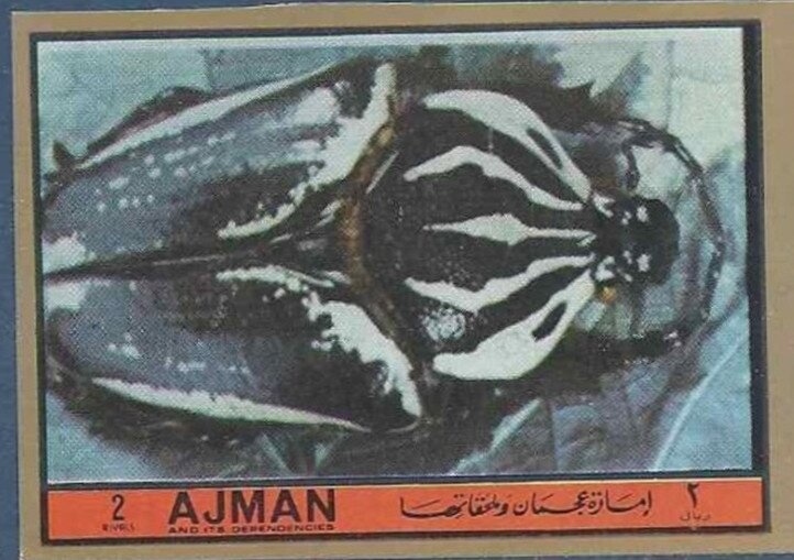 Uneven and Parallel Bars