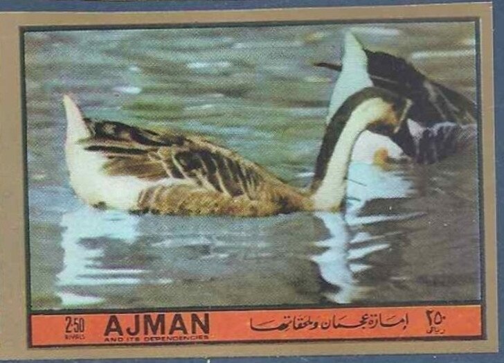 Renate Stecher (*1950), GDR