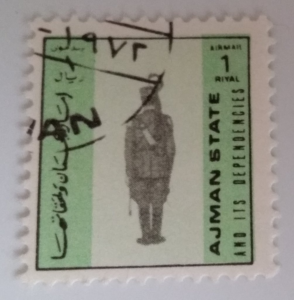 Vervet monkey (Chlorocebus pygerythrus)