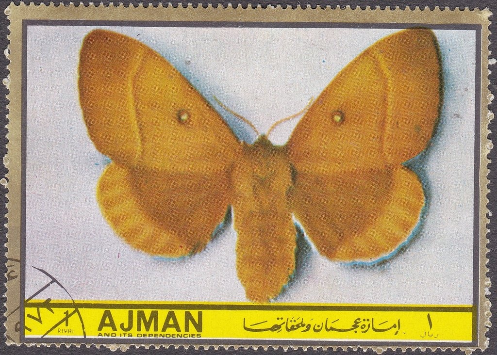 Portrait of a Young Lady, Albrecht Dürer (1505)