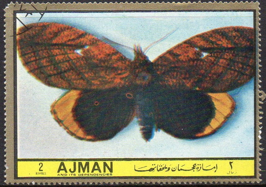 Eurasian Otter (Lutra lutra)