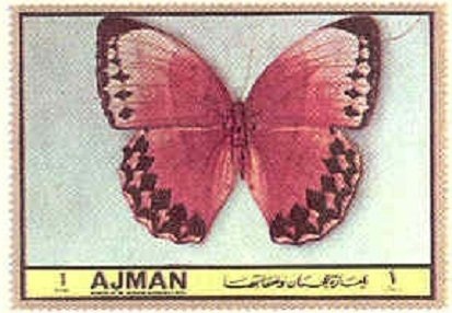 Joachim's sacrificial offering