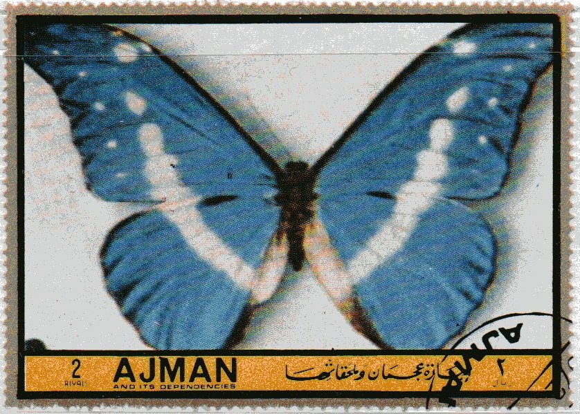 The Birth of the Virgin