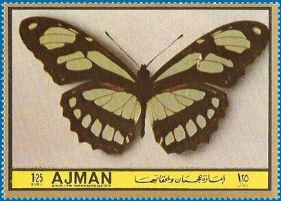 Madona Enthroned with the Child, St. Francis and four Angel…