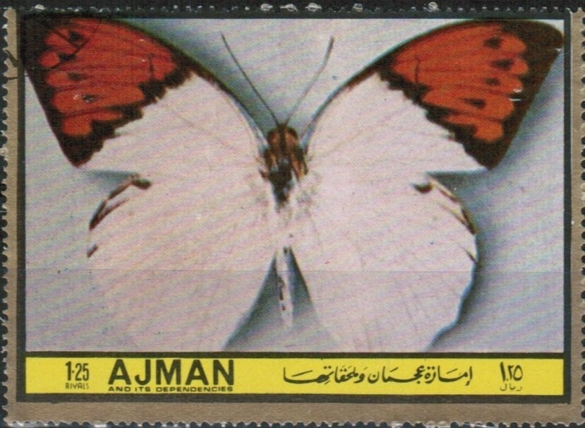 Württemberg, Waldeck