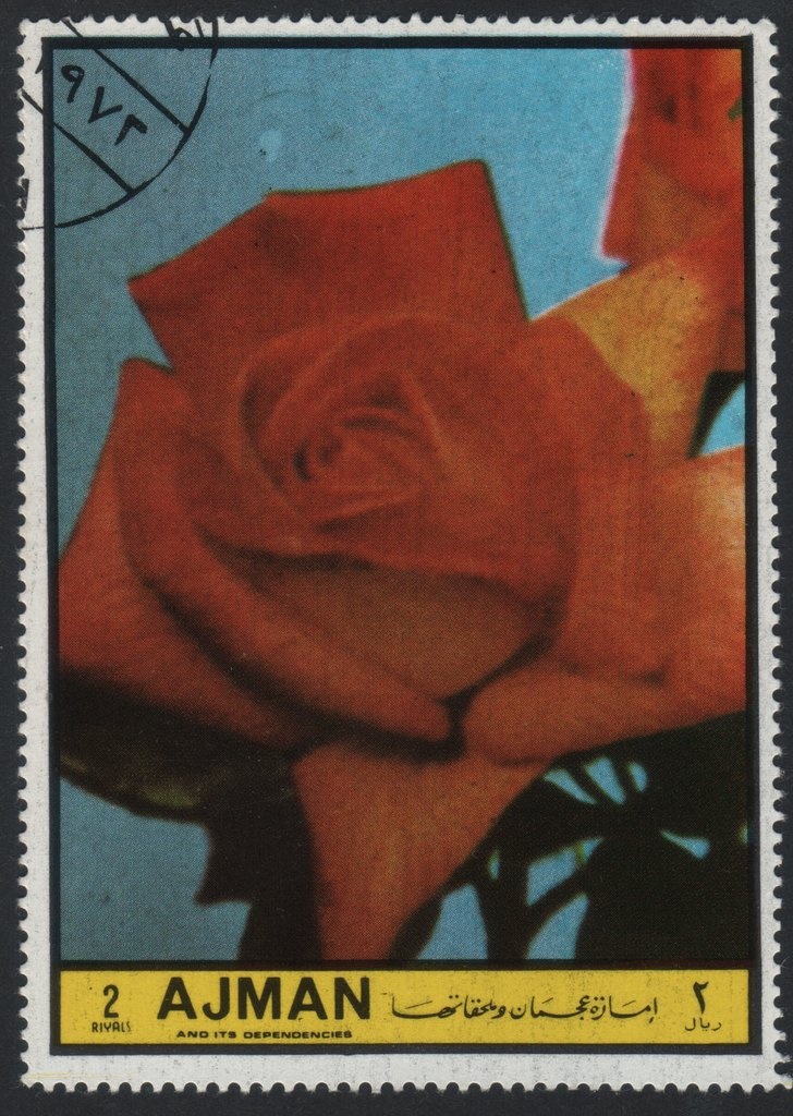 Wolfgang Amadeus Mozart