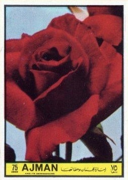 Emblem, Flag of the USA