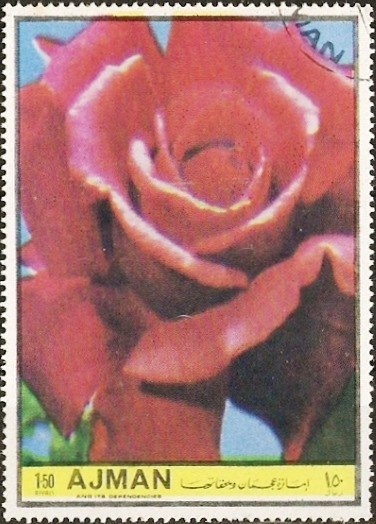 Garden Tiger Moth (Arctia caja)