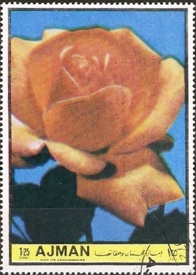 King Louis XI of France (1423-1483)