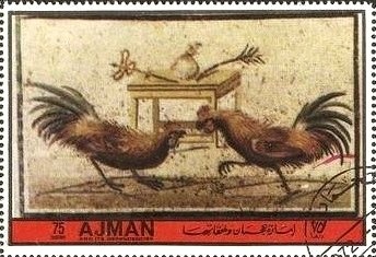 Diana Monkey (Cercopithecus diana)