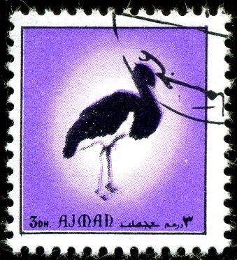 Virgin surrounded by angels; by Jean Hey