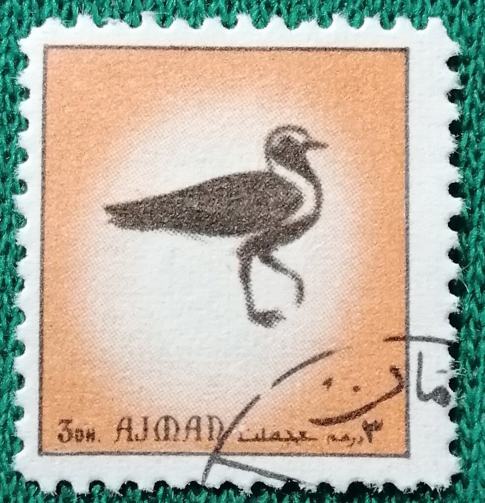 Gymnastics (Balance Beam)