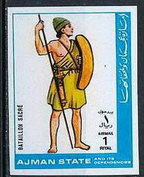 Japanese Macaque (Macaca fuscata)