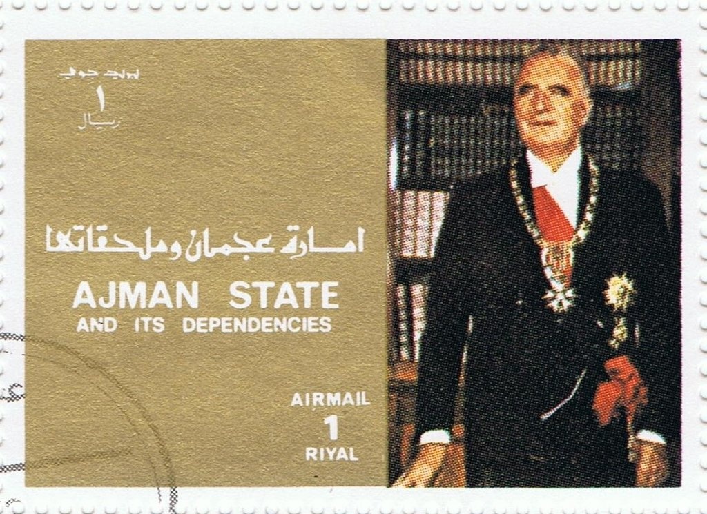 Southern Atlas (Epiphora bauhiniae)