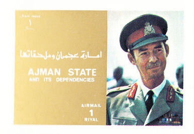 African Sunset Moth (Chrysiridia croesus)