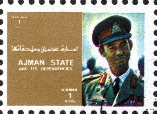 Clouded Yellow (Colias edusa)