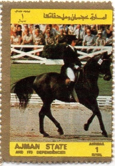 Bornean Orangutan (Pongo pygmaeus)