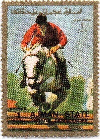 Wood duck (Aix sponsa)