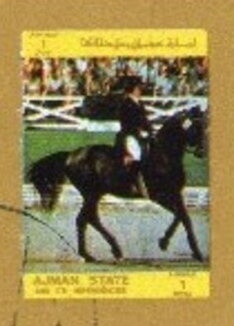 Blue Buckeye (Precis clelia)