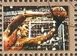 Agouti (Dasyprocta sp.)