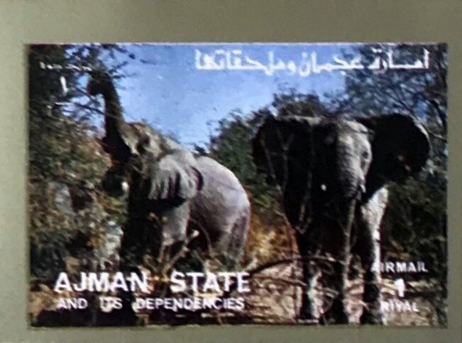 Tirailleur Siberien - Russie 1902