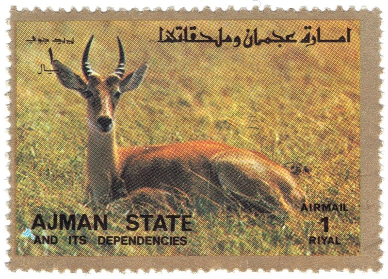 St. Jacob the Elder, by Antonio del Pollaiolo