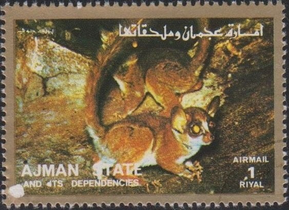 Adoration of the Shepherds by Jacopo Bassano