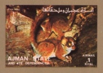 Show Jumping and Boxing