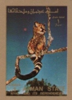 Adoration of the Magi