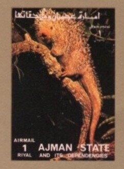 Resurrection of Christ from Sodom