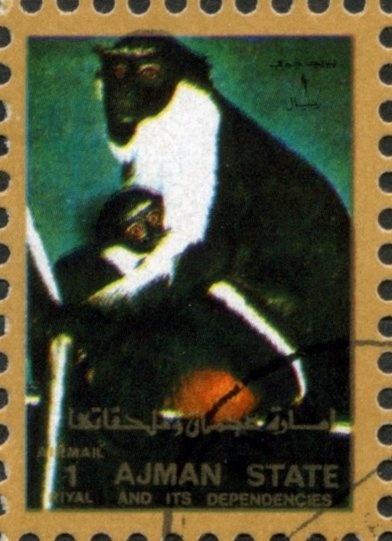 African Savanna Elephant (Loxodonta africana)