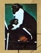 Uhlan de Maresciallo - Saxe 1745