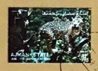 Large emperor moth (Saturnia pyri)