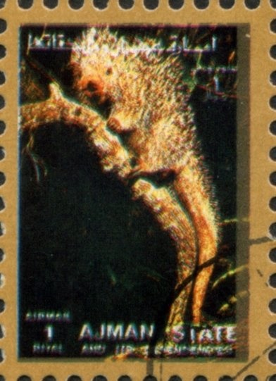 Astronaut in front of flag on the moon