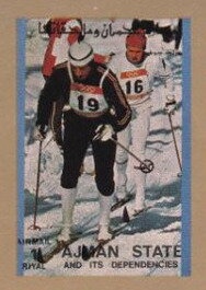 Northern pintail (Anas acuta)